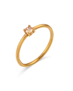 INS Fashion Simple Light Luxury Birthday Stainless Steel Zircon Inlaid Tail Ring Birthday Stone Fine Ring
