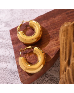U-Shaped Geometric New Gold-Plated Titanium Steel Earrings