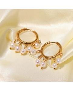 New Small Pearl Tassel Pendant Earrings Stainless Steel Earrings