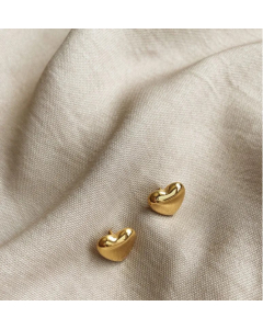 Simple Heart Glossy Heart Titanium Steel Gold Plated Earrings Wholesale Colorza