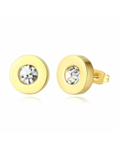 Stainless Steel Round Zircon Earrings