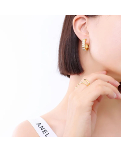 Personalized U-Shaped Zircon Full Diamond Earrings Titanium Steel Ear Jewelry
