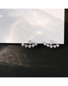 Gypsophila Silver Diamond Claw Zircon Titanium Steel Earrings