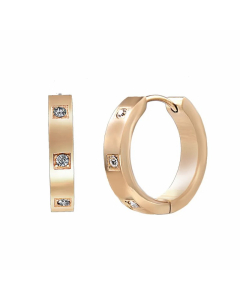 Micro-Inlaid Zircon Stainless Steel Round Earrings Wholesale Jewelry Colorza