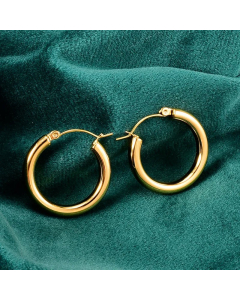 Korean Gold-Plated Thick Circle Hoop Titanium Steel Earrings Wholesale Colorza