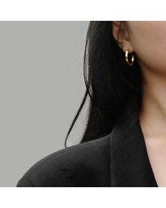 Wholesale Jewelry C-Shaped Stainless Steel Opening Earrings Colorza
