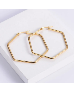 Titanium Steel Hexagon Fashion Earrings Wholesale Jewelry Colorza