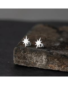 Simple Octagonal Starlight Glossy Alloy Earrings