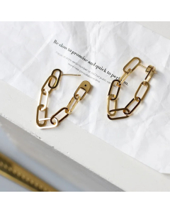 Retro Thick Chain Ring Titanium Steel Earrings