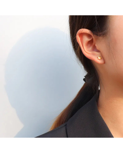 Little Star Korean Titanium Steel Earrings