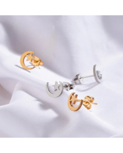 Simple Stars Moon Stainless Steel Earrings
