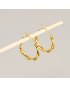 Simple Style Titanium Steel Earrings Plating No Inlaid Stainless Steel Earrings