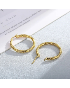 Fashion Geometric Stainless Steel Earrings Plating Stainless Steel Earrings