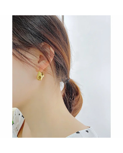 Fashion Irregular Stainless Steel Earrings Stainless Steel Earrings