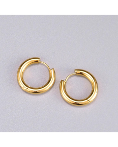 Simple Style Titanium Steel Earrings Plating Stainless Steel Earrings
