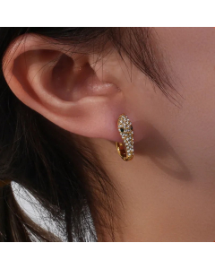 Fashion Snake Stainless Steel Earrings Plating Zircon Stainless Steel Earrings