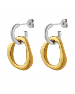 Fashion Irregular Titanium Steel Drop Earrings Stainless Steel Earrings