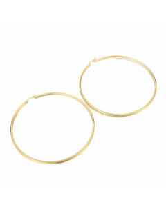 Fashion Circle Stainless Steel Hoop Earrings Plating Metal Stainless Steel Earrings