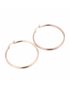 Fashion Geometric Stainless Steel Hoop Earrings Plating Metal Stainless Steel Earrings