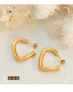 Simple Style Irregular Titanium Steel Earrings Plating Stainless Steel Earrings 1 Pair