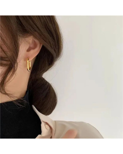 Fashion Geometric Stainless Steel Hoop Earrings Plating Stainless Steel Earrings