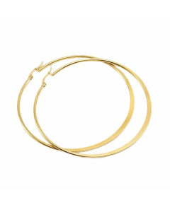 Simple Style Geometric Stainless Steel Hoop Earrings Plating Stainless Steel Earrings