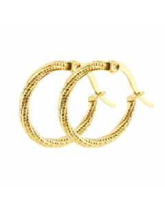 Fashion Circle Stainless Steel Hoop Earrings Gold Plated Stainless Steel Earrings