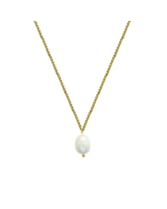 Retro Simple Accessories Titanium Steel Plated 18K Gold Freshwater Pearl Jewelry Necklace_colorza_4