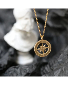 Sun Tarot Gold Plated Clavicle Chain Lion Medal Gold Coin Compass Necklace Titanium Steel 