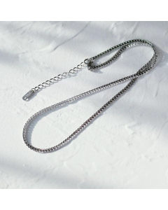 Retro Snake Bone Flat Chain 18K Titanium Steel Necklace Wholesale