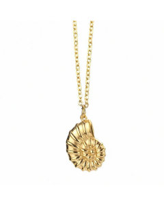 18K Gold Conch Clavicle Chain Wholesale Simple Small Snail Pendant Titanium Steel 
