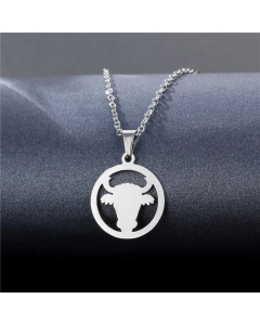 Wholesale Jewelry Stainless Steel Animal Clavicle Chain Heart Camera Necklace