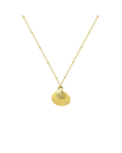 Fine Jewelry Wholesale Supplier Shell Titanium Steel Necklace 