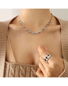 Texture Zircon Pendant Snake Bone Geometric Necklace Fashion Simple Titanium Steel-Steel Color-01
