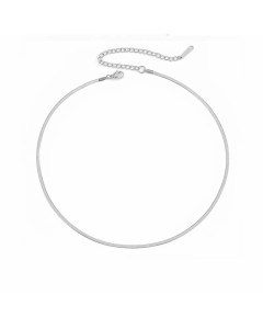 New Style Simple Stainless Steel Flat Snake Chain Necklace Colorza Jewelry Wholesale -Steel Color-35+8cm-2mm