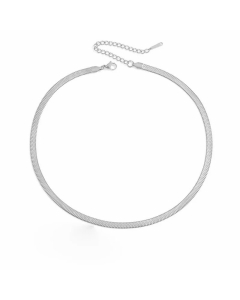 New Style Simple Stainless Steel Flat Snake Chain Necklace Colorza Jewelry Wholesale -Steel Color-42+8cm-5mm