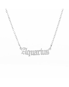 Fashion 12 Constellation Stainless Steel Pendant Gold Necklace-Steel Color-Aquarius