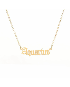 Fashion 12 Constellation Stainless Steel Pendant Gold Necklace-Gold Color-Aquarius
