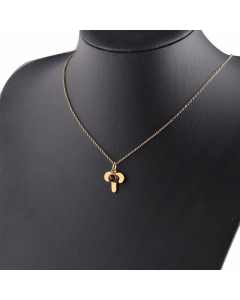 Gold Lucky Birthstones Necklace Twelve Constellations Stainless Steel Necklace -Aries