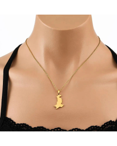 Simple Style Plating Chain Stainless Steel Necklaces Map Titanium Steel Necklace 