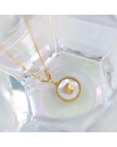 Fashion Round Shell Inlaid Titanium Steel Plating Necklace Colorza 