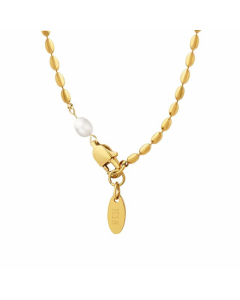 Daily Beads Chain Titanium Steel Gold Plated Pearl Pendant Necklace Colorza