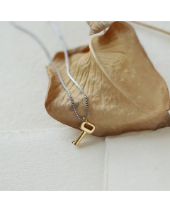 Fashion Key Plating Pendant Titanium Steel Necklace CA07830658