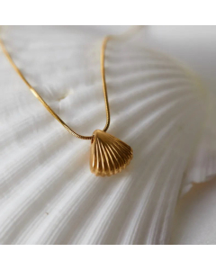 Daily Style Shell Titanium Steel Plating Pendant Necklace CA07830961