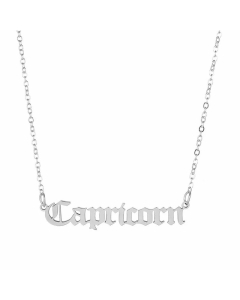 Minimalism Letter Constellation Stainless Steel Plating Pendant Necklace CA07831066