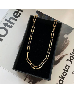Plain Hip-Hop Casual Solid Color Paperclip Chain Titanium Steel Necklace CA07831252