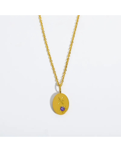 Minimalism Oval Constellation Pisces Pendant 18K Gold Plated Zircon Stainless Steel Necklace CA07831385