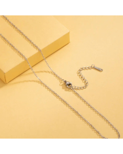 Simple Style Solid Color Stainless Steel Plating 18K Gold Plated Necklace-Steel Color-02