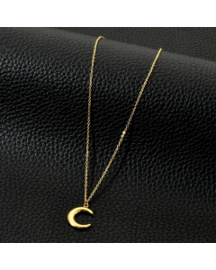 Commute Star Stainless Steel Plating 18K Gold Plated Pendant Necklace