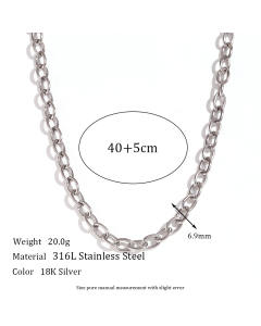 Colorza Basic Simple Style Classic Style Solid Color Stainless Steel Plating 18K Gold Plated Necklace-Steel Color-02